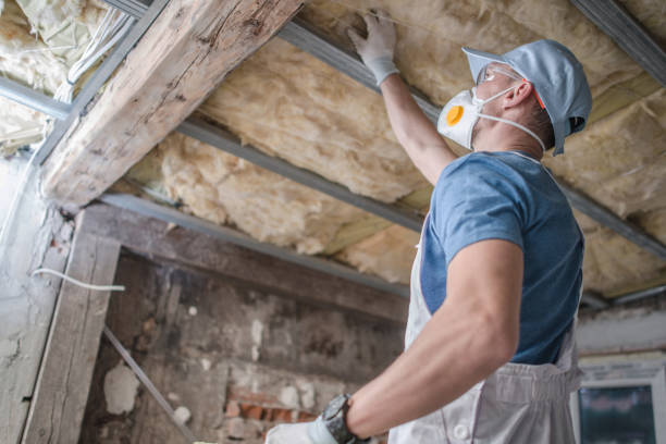 Best Specialized Insulation Services in Wakefield, KS