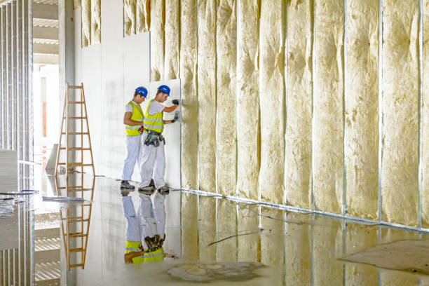 Best Commercial Insulation in Wakefield, KS